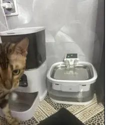 Автокормушка для кошек с двумя камерами Balusha Pet's