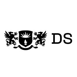 Финансово-консалтинговая компания DS Consulting (Россия, Москва)
