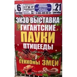 Экзо выставка (Россия, Белореченск)