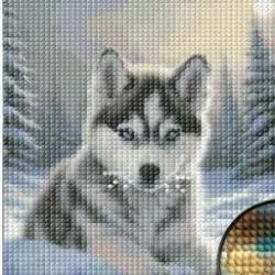 Алмазная мозаика KIDGEMART SHOP
