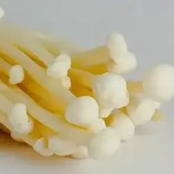 Грибы Еноки Jining Kaima Import & Export Co