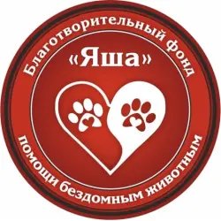 Благотворительный фонд "Яша" (Россия, Волгоград)