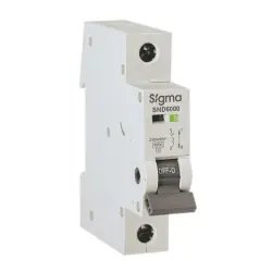 Автоматический выключатель Sigma Electric SND 6000