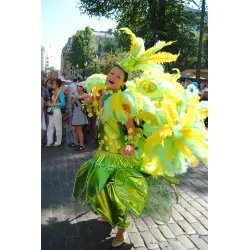 Карнавал Helsinki Samba Carnaval (Финляндия, Хельсинки)