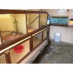 Аквариум Aquaworld (Греция, Херсониссос)