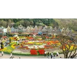 Фестиваль тюльпанов в развлекательном комплексе Everland (Южная Корея, Сеул)