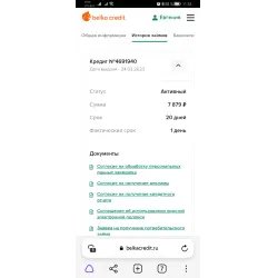 Микрозайм Belka Credit