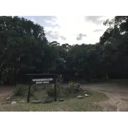 Лодж Enchoro wildlife camp (Кения, Масаи Мара)