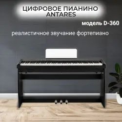 Цифровое пианино Antares D-360
