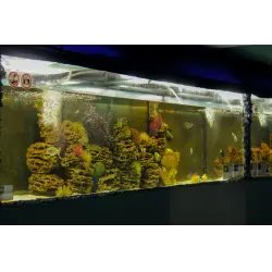 Акванариум "Морская сказка" в комплексе загородного отдыха "Сказка" в пос.Чернолучье (Россия, Омская область)