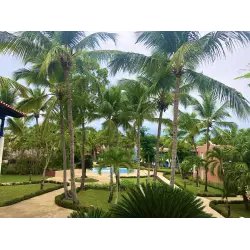 Отель Catalonia Gran Dominicus 4* (Доминикана, Ла Романа)