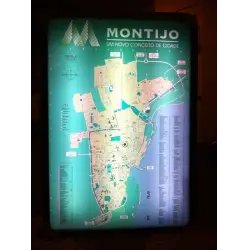 День города Монтижу (Португалия)