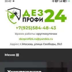 Компания "ДезПрофи 24" (Россия, Москва)