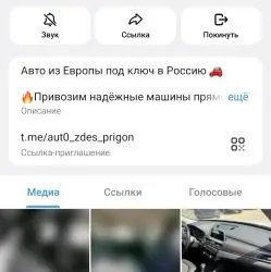 Авто из Германии телеграмм-канал и МАКС-канал "AURA Garage"