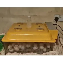 Автоматический инкубатор Janoel 8-48