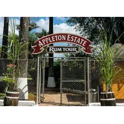 Экскурсия на фабрику рома Appleton (Ямайка)
