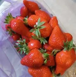 Клубника с. Червоное