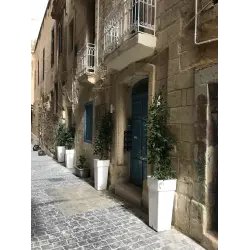 Апартаменты "Valletta Dream Suites" (Мальта, Валлетта)