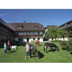 Апартаменты "Farm Holidays Perhinig" (Австрия, Хоэнтурн)