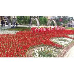 Фестиваль цветов (Узбекистан, Наманган)
