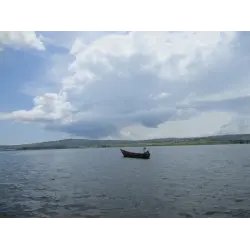 Экскурсионный тур "Львы и гориллы" от туроператора Миракль (Уганда)