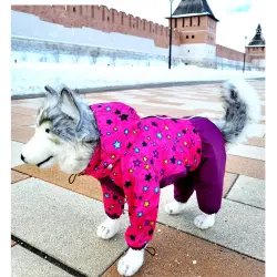Комбинезон для собак ИП Зайнаков А.Г