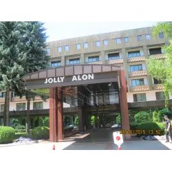 Гостиница Jolly Alon (Молдавия, Кишинев)